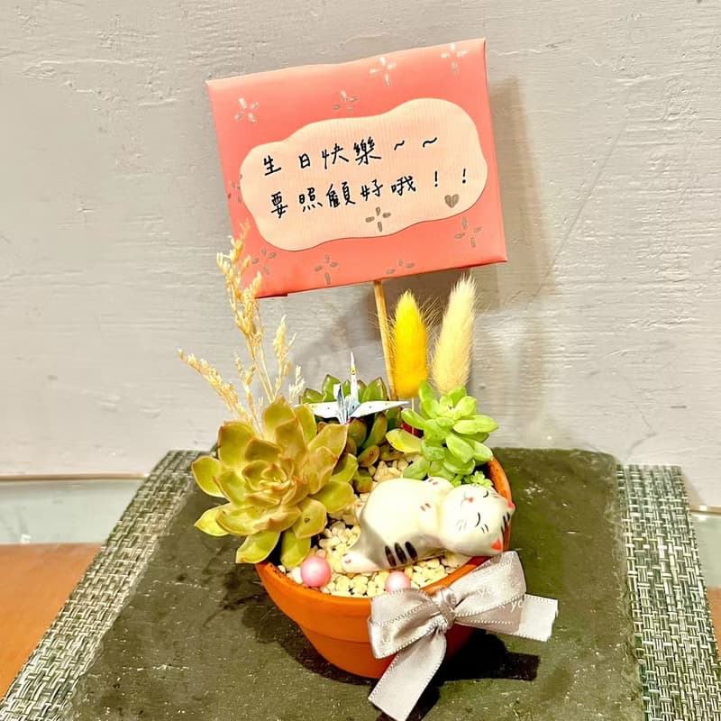 台中多肉組盆 多肉植物 日式枯山水 放鬆 貓咪 療癒盆栽 生日禮物
