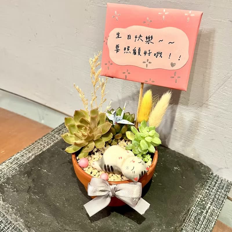 台中多肉組盆 多肉植物 日式枯山水 放鬆 貓咪 療癒盆栽 生日禮物