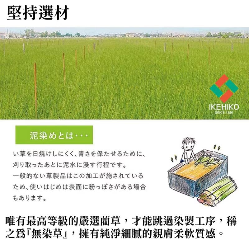【清爽舒眠】soi-ne 雙層透氣親膚草蓆與枕頭 純淨無染天然素材