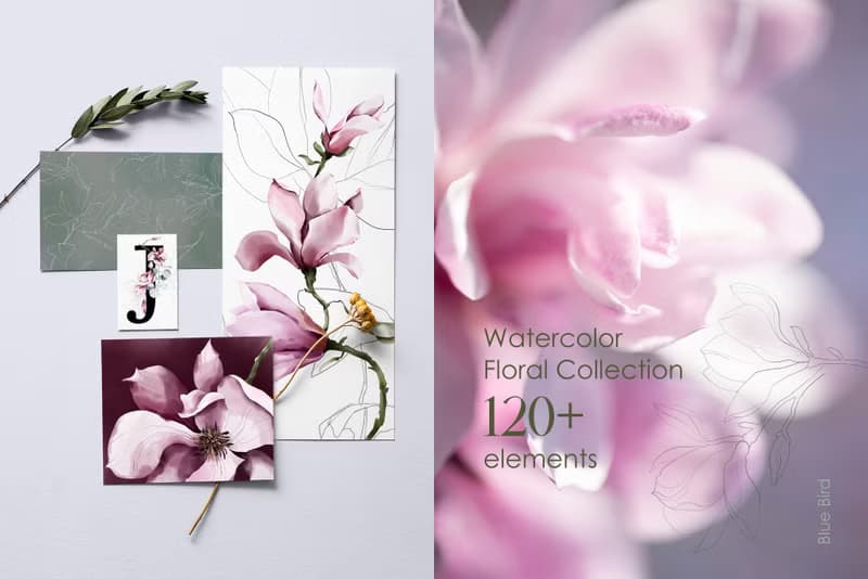 【數位】Magnolia & Eucalyptus. Watercolor bouquets, botanical clipart