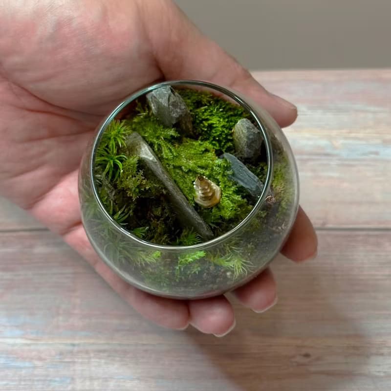 新品上市 隱世禪緣 / 超迷你掌上型手工微景觀生態盆