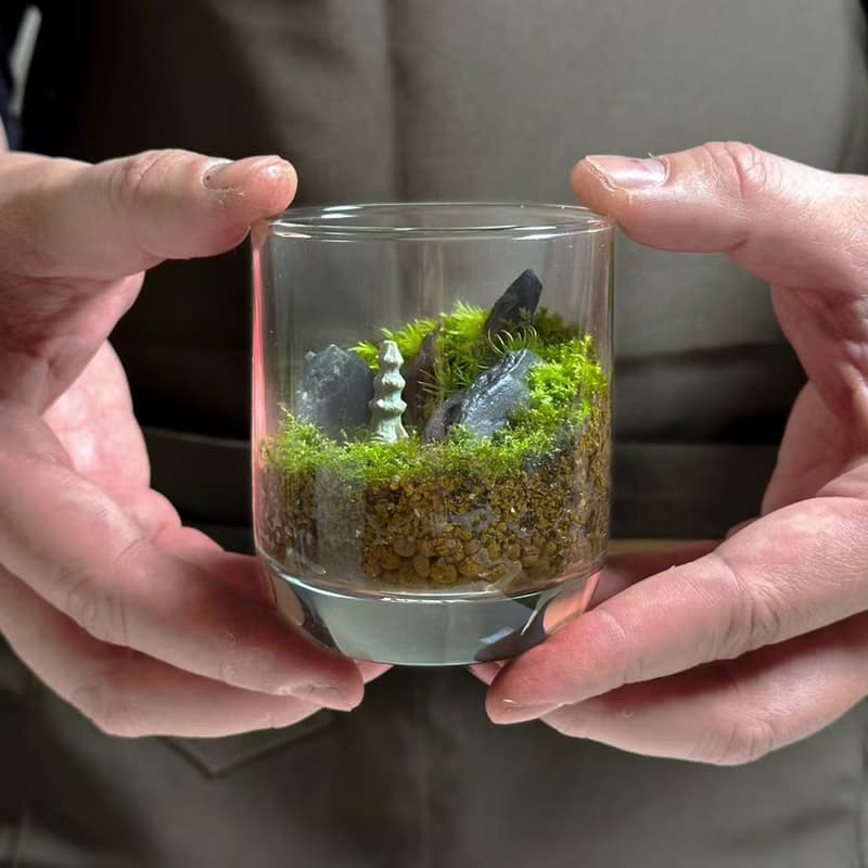 隱世禪緣 / 超迷你掌上型手工微景觀生態盆