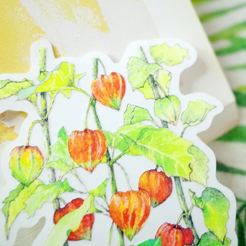 酸漿 繪畫防水PVC白墨底大貼紙