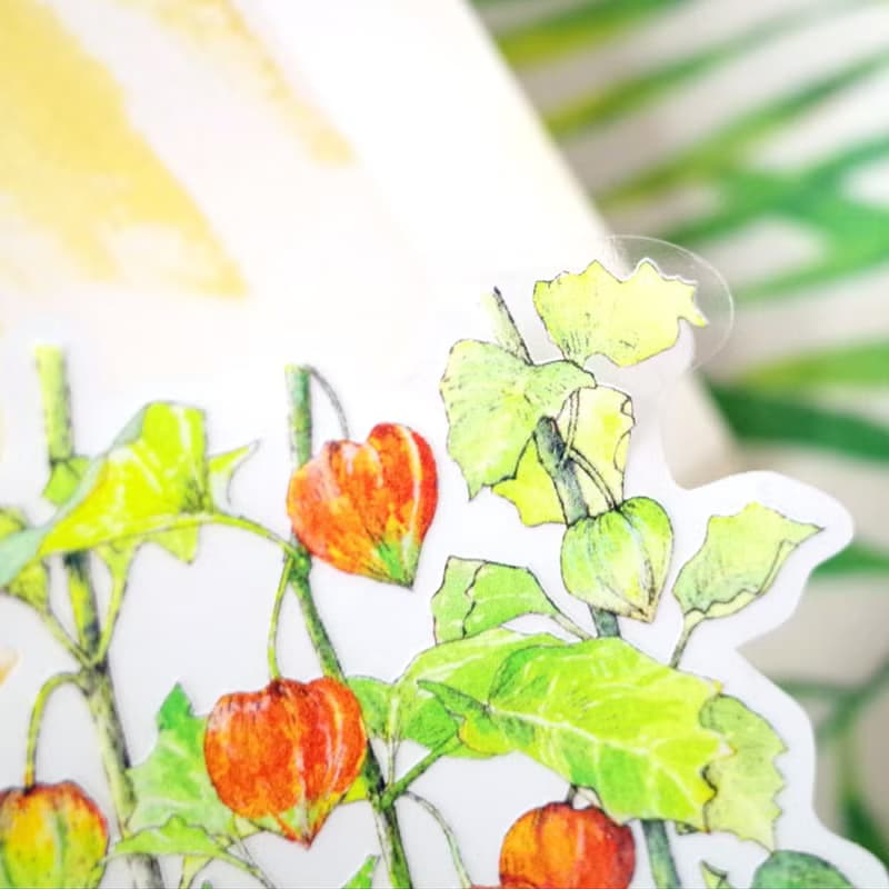 酸漿 繪畫防水PVC白墨底大貼紙