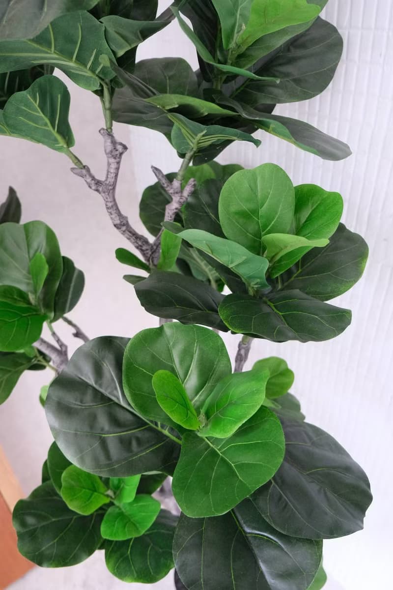人造植栽/仿真琴葉榕/仿真植物/綠化/永不凋零