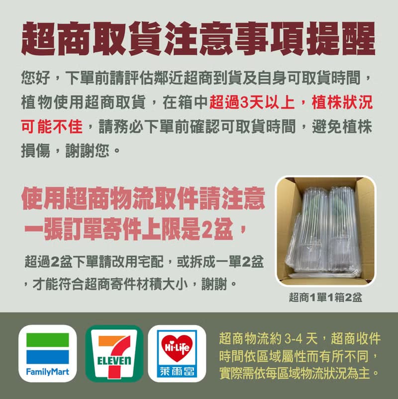 彩虹馬齒牡丹苔球 苔球植物 苔玉 室內植物 辦公室植物 交換禮物