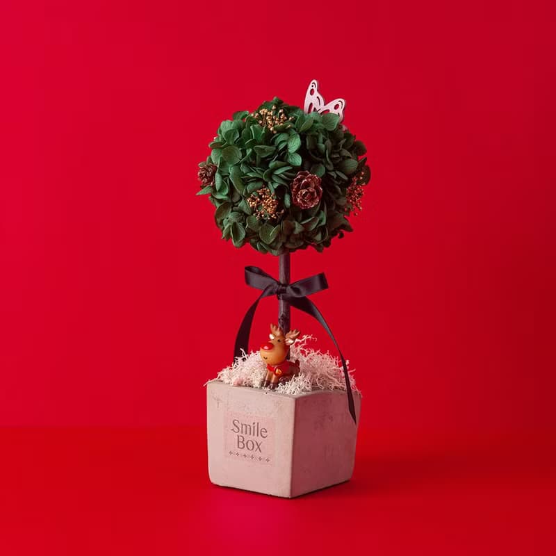 聖誕繡球花球樹 聖誕限量 永生花 交換禮物 聖誕裝飾 聖誕佈置