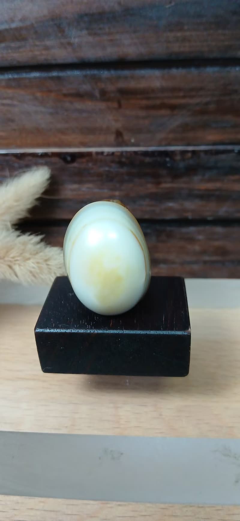 雕件 逗樂動物-蛋殼龜 棕玉髓/原石龜殼紋路獨特