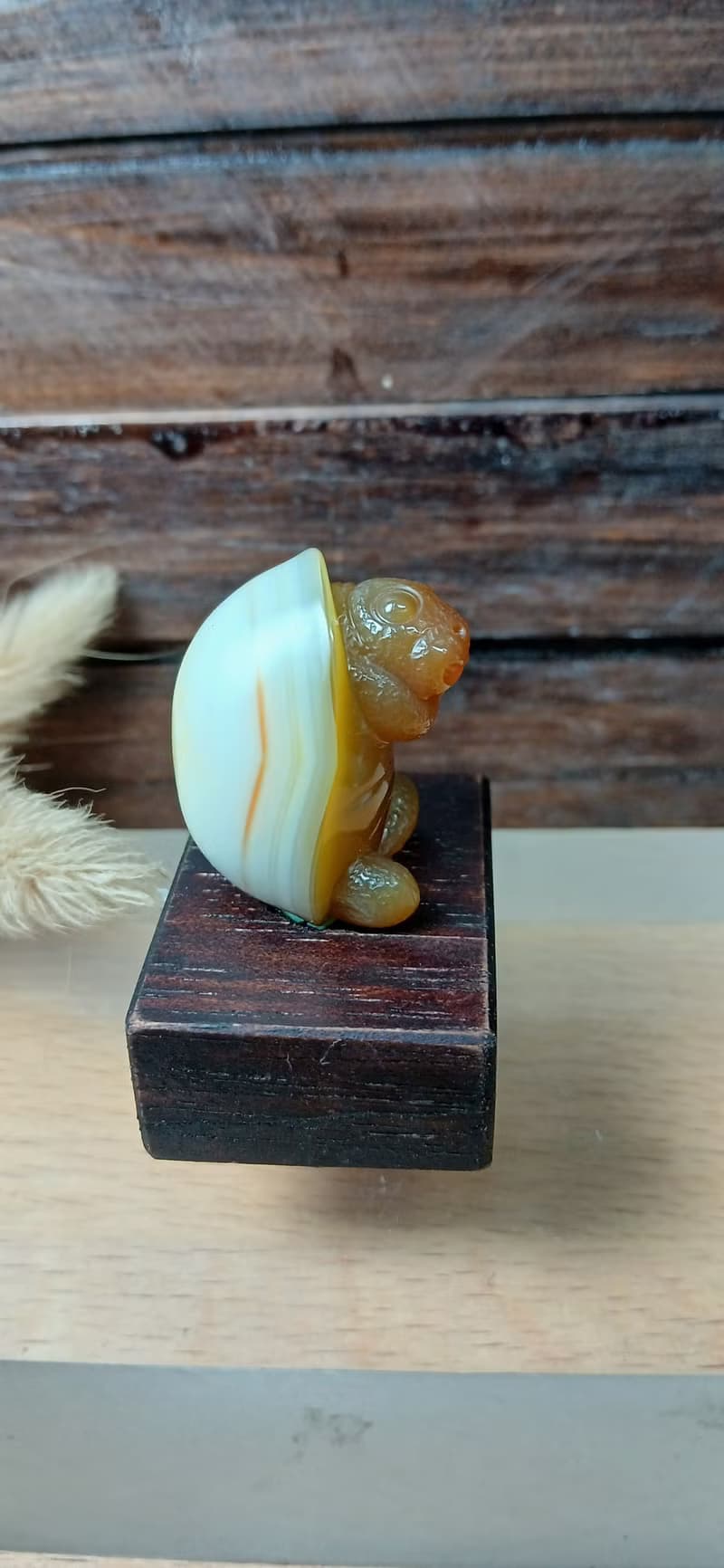 雕件 逗樂動物-蛋殼龜 棕玉髓/原石龜殼紋路獨特