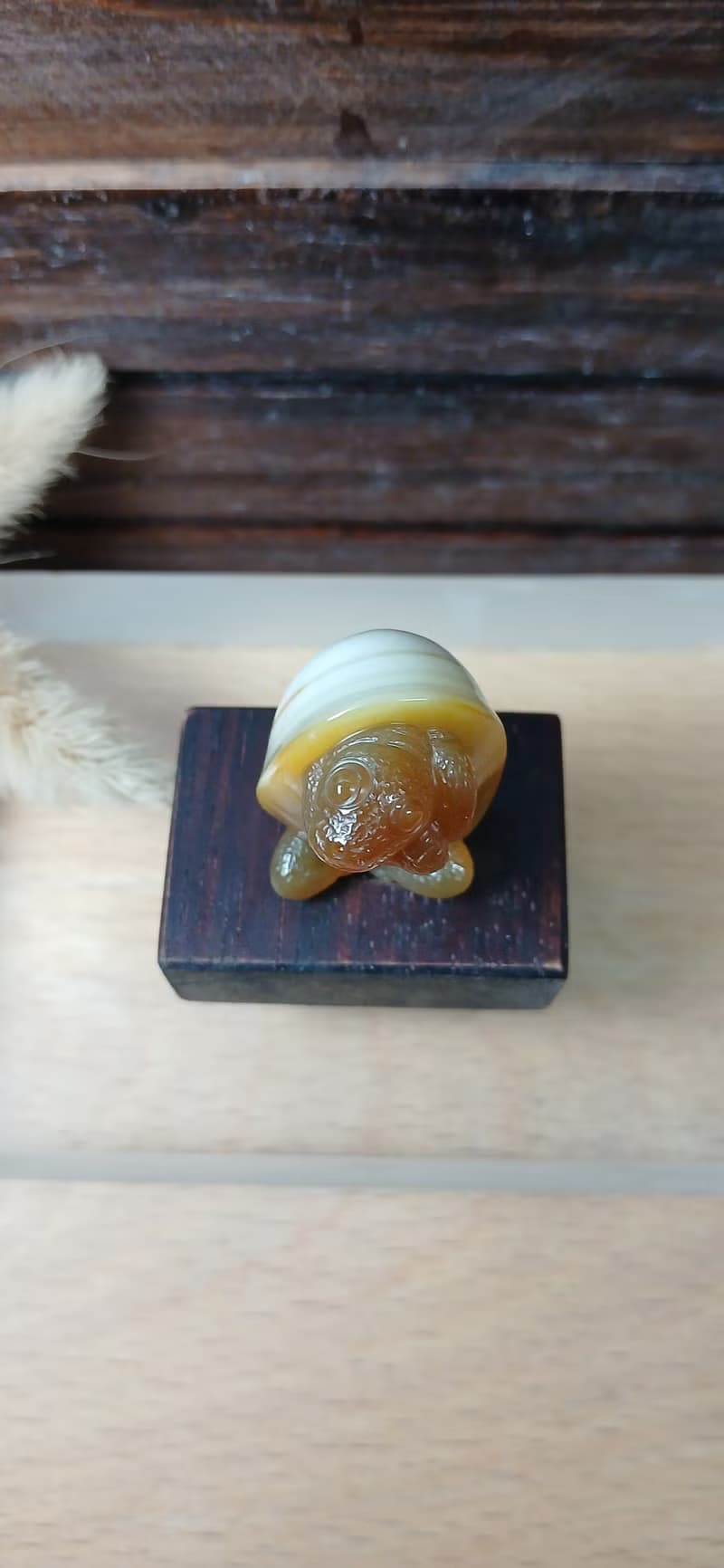 雕件 逗樂動物-蛋殼龜 棕玉髓/原石龜殼紋路獨特