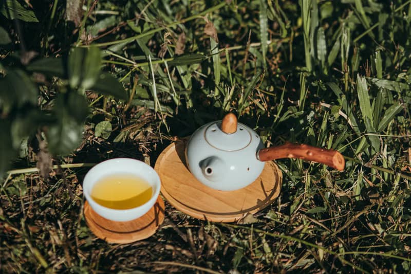 【自然農法茶葉】落霞烏龍 清甜奶香 手採無農藥無化肥