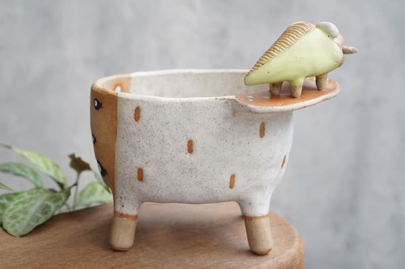 Plant pot with a crocodile ,lithops,cactus,ceramics,pottery,handmade