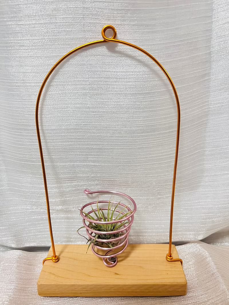 空鳳檜木架 小精靈 空間佈置 交換 畢業禮物(含植物)