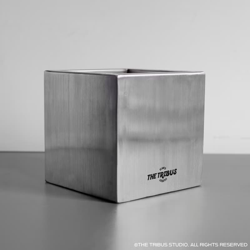 【IRON BOX 不鏽鋼方盆栽 】
