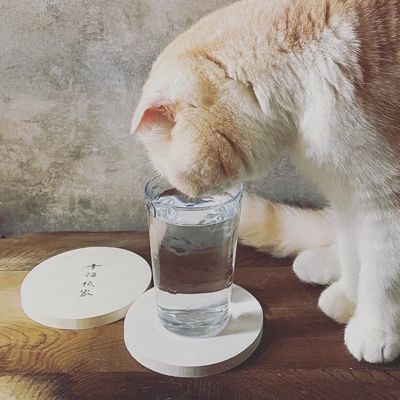 【快速出貨】幸福抵家 | 書法手寫字  硅藻土抗菌吸水杯墊 結婚