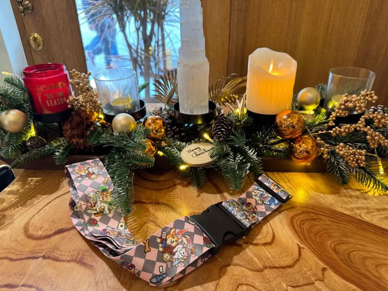 哥基 Corgi in the wonderland 行李帶