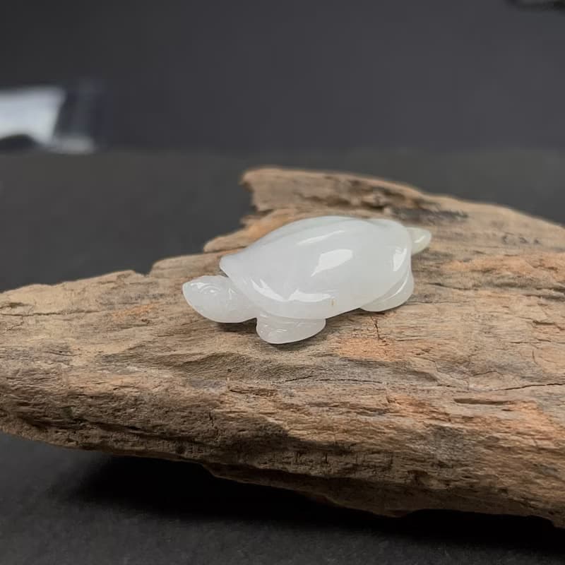 白翡翡翠甲魚擺件 | 天然緬甸玉A貨翡翠 | 送禮