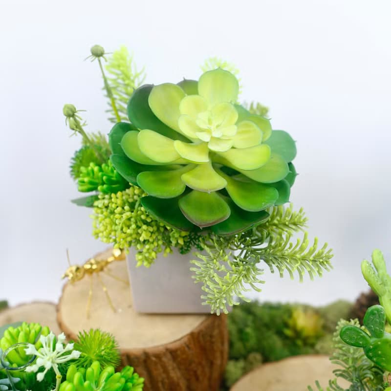 大寶石蓮諾貝松香氛植栽/擬真植物/人造盆栽/綠化/佈置/禮物