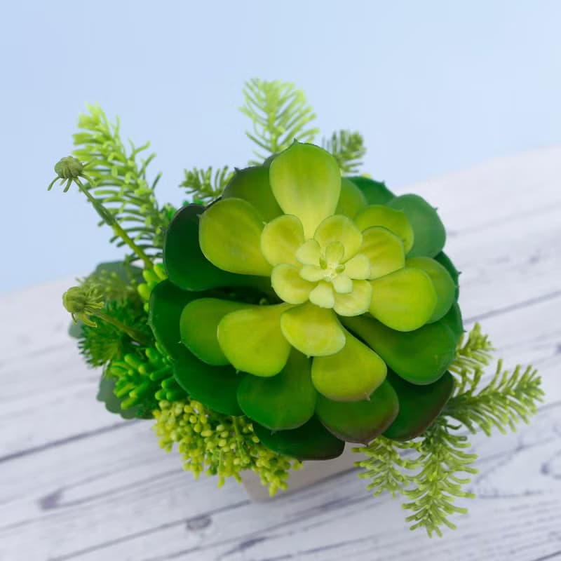 大寶石蓮諾貝松香氛植栽/擬真植物/人造盆栽/綠化/佈置/禮物