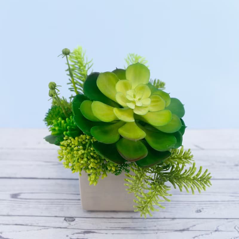 大寶石蓮諾貝松香氛植栽/擬真植物/人造盆栽/綠化/佈置/禮物