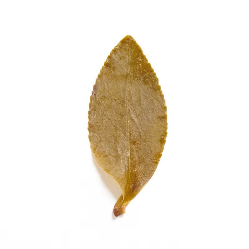 羽曦堂-寺院飄花(靜心金萱烏龍)三角立體原葉台灣茶包 15入