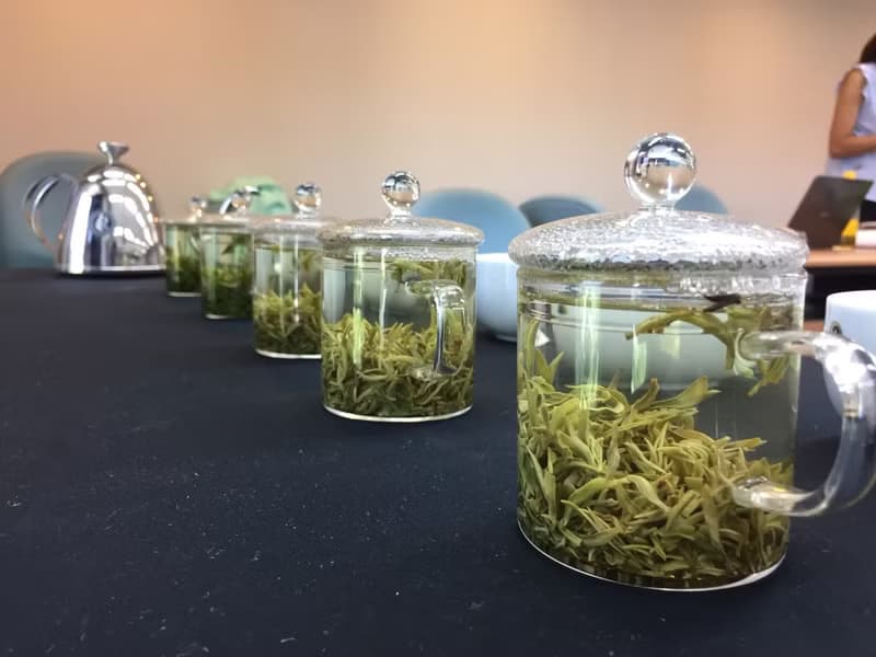 【體驗】【證照班】茶葉品評二級 (高雄班)