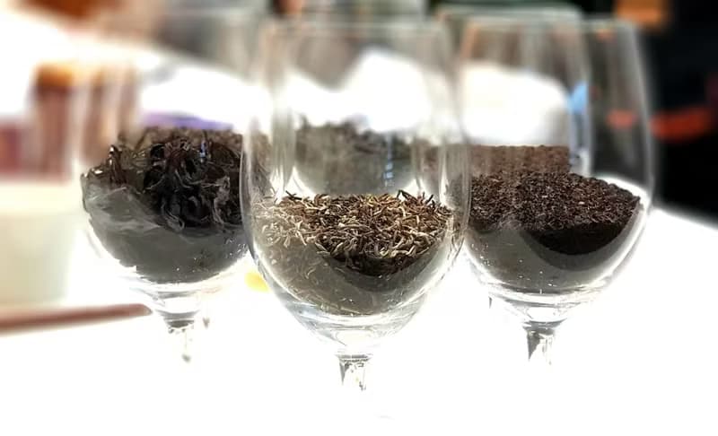 【體驗】【證照班】茶葉品評二級 (高雄班)