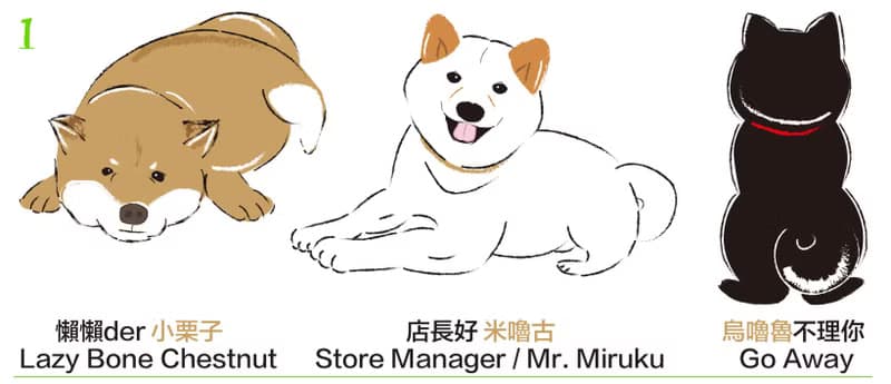 小飯糰  柴柴大型防水貼紙 No.1 柴犬 行李箱貼紙