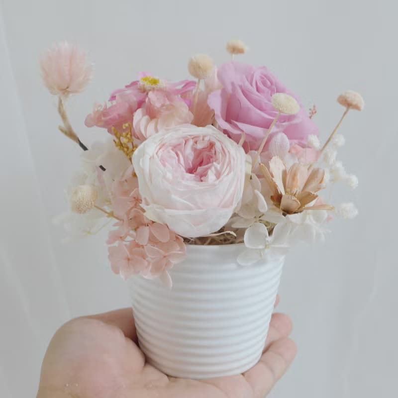 櫻粉開幕盆花  結婚捧花永生花畢業花束情人節玫瑰生日禮物七夕情