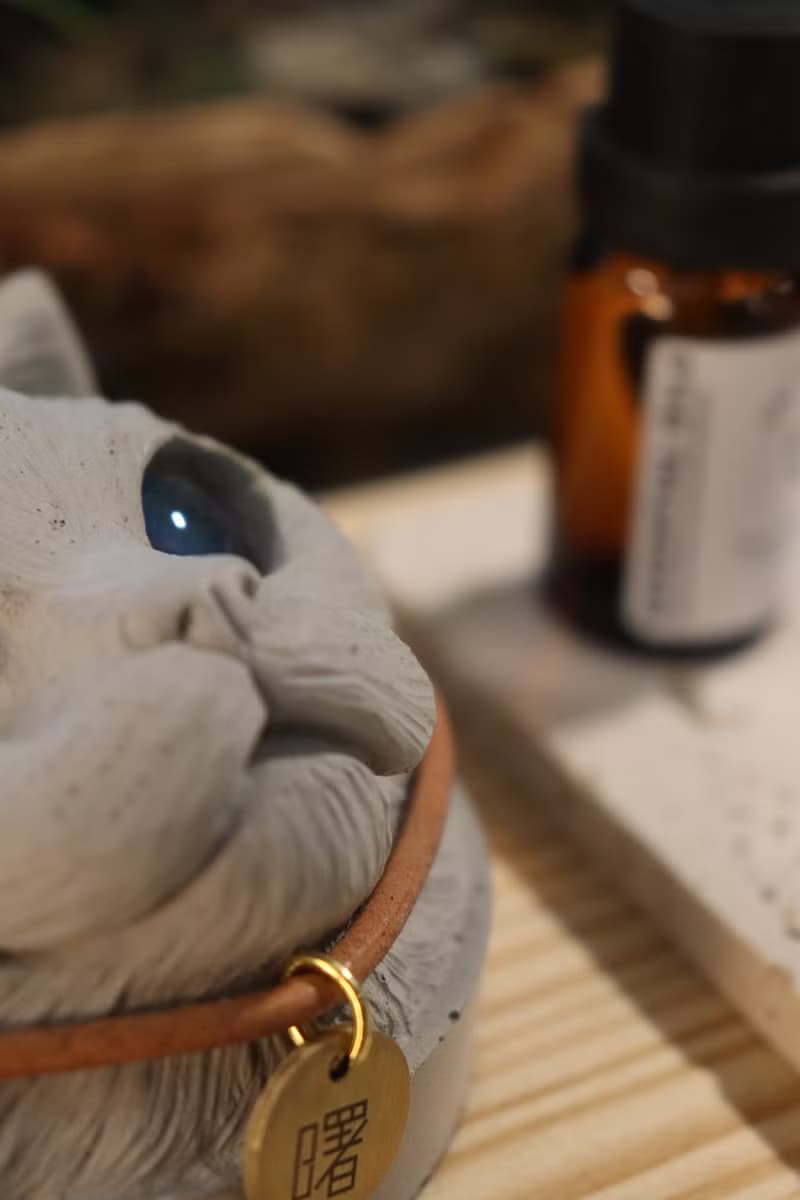 曙MUSE 長毛貓咪頭水泥擴香石擺飾 送精油 送徽章