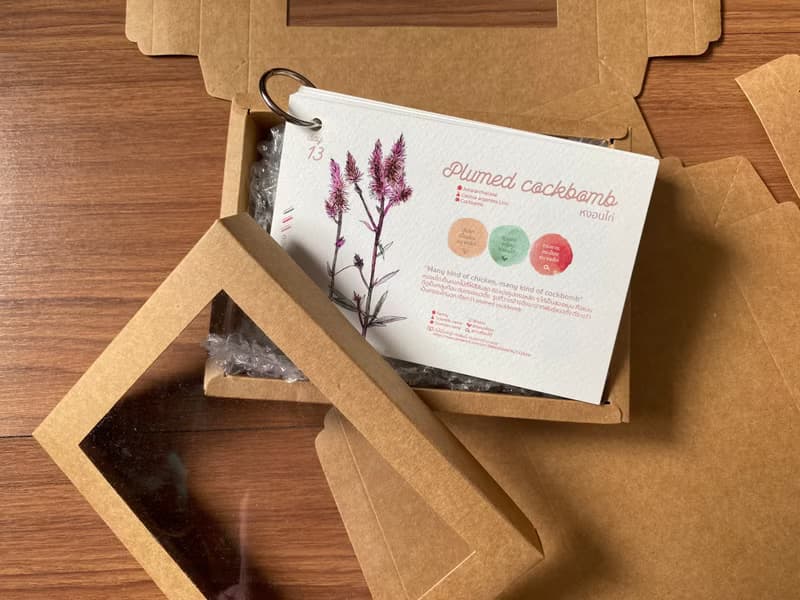 Daily Flower CALENDAR CARD SET - 1-Month Postcard- Sized Booklet