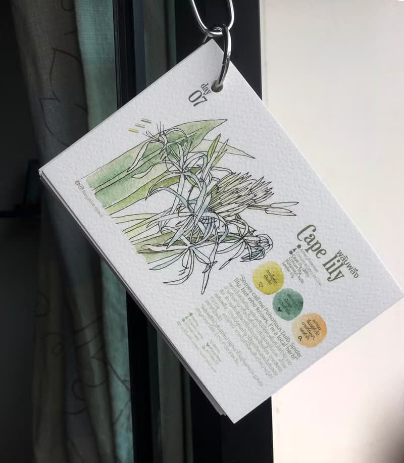 Daily Flower CALENDAR CARD SET - 1-Month Postcard- Sized Booklet