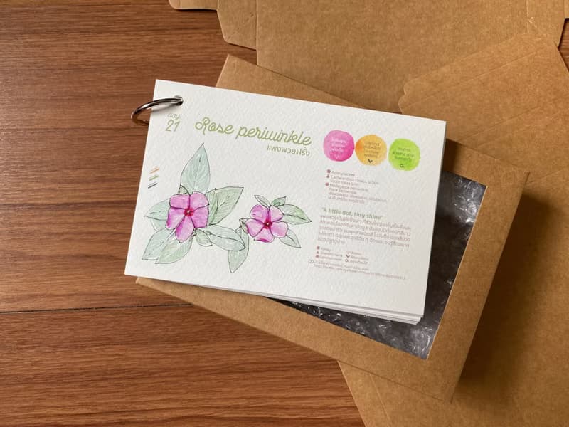 Daily Flower CALENDAR CARD SET - 1-Month Postcard- Sized Booklet