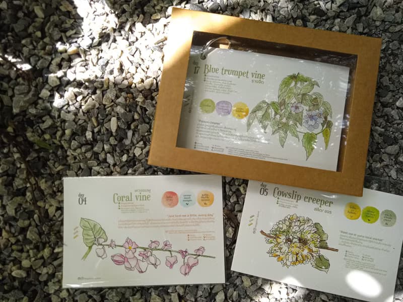 Daily Flower CALENDAR CARD SET - 1-Month Postcard- Sized Booklet