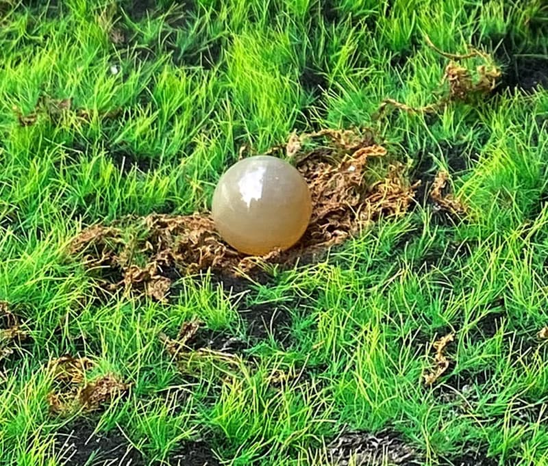 有球必應 招財吸金-天然開口笑瑪瑙球 財運擺件 快速出貨