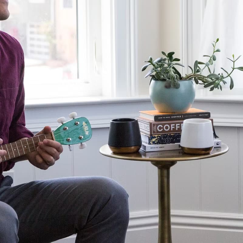 【FELLOW】JOEY v1.2 陶瓷雙層馬克杯 8oz - 霧面白