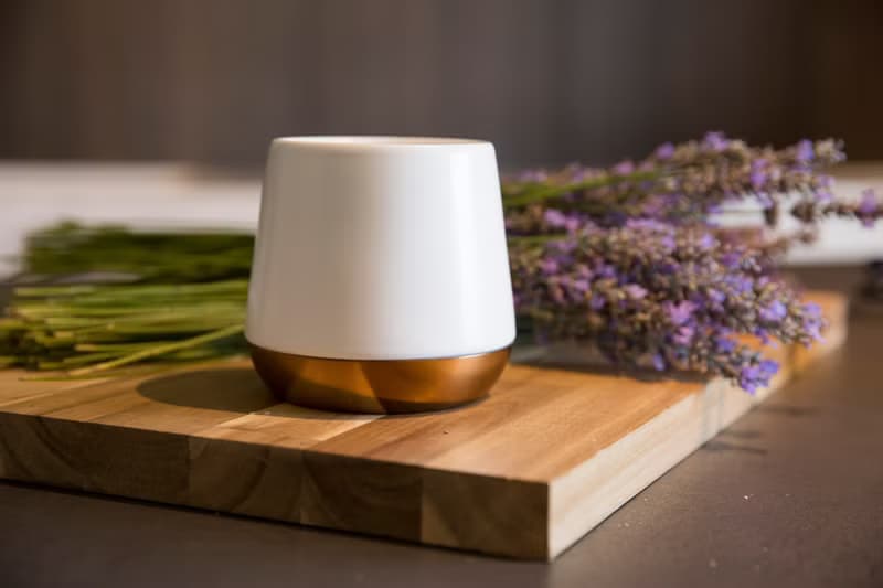 【FELLOW】JOEY v1.2 陶瓷雙層馬克杯 8oz - 霧面白