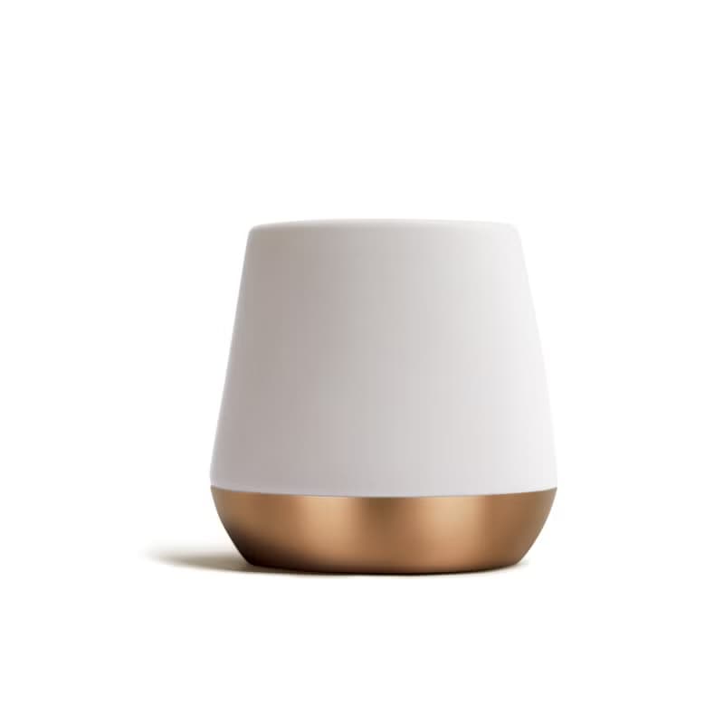 【FELLOW】JOEY v1.2 陶瓷雙層馬克杯 8oz - 霧面白