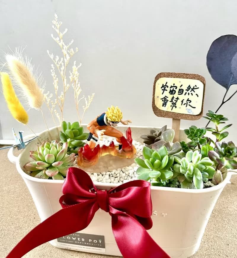 多肉組盆 多肉植物 日式 火影忍者 鳴人 NARUTO 漩渦鳴人 生日禮