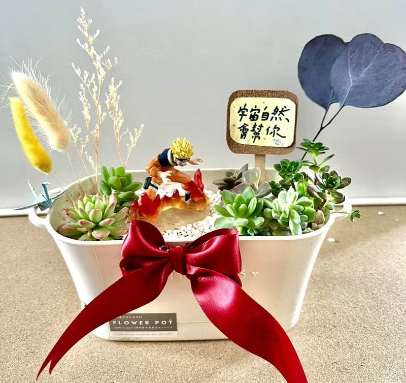 多肉組盆 多肉植物 日式 火影忍者 鳴人 NARUTO 漩渦鳴人 生日禮
