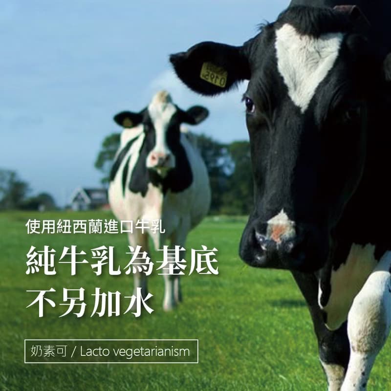 歐利歐巧克力 (8入) OREO 巧克力 巧克力牛奶冰棒 牛奶 巧克力冰