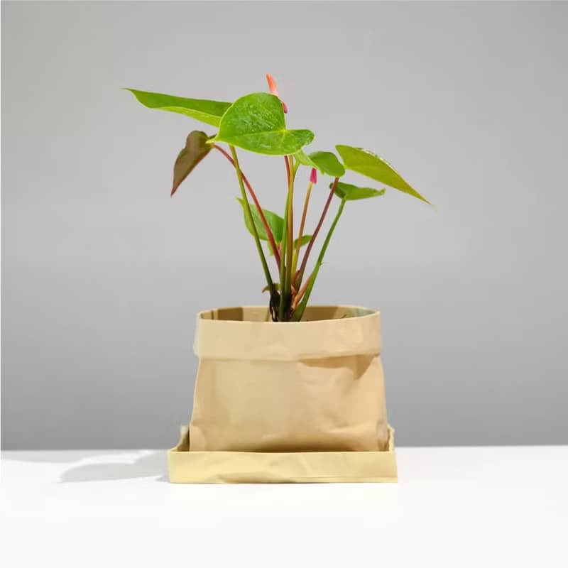 ONF 3D Print Planter - No. 1 BONSAI FOLDED EDGE