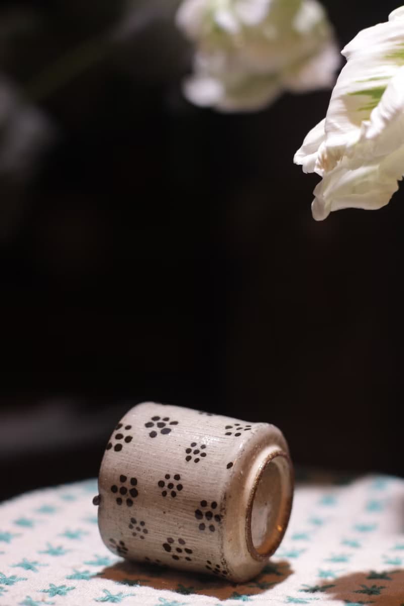 波紋杯