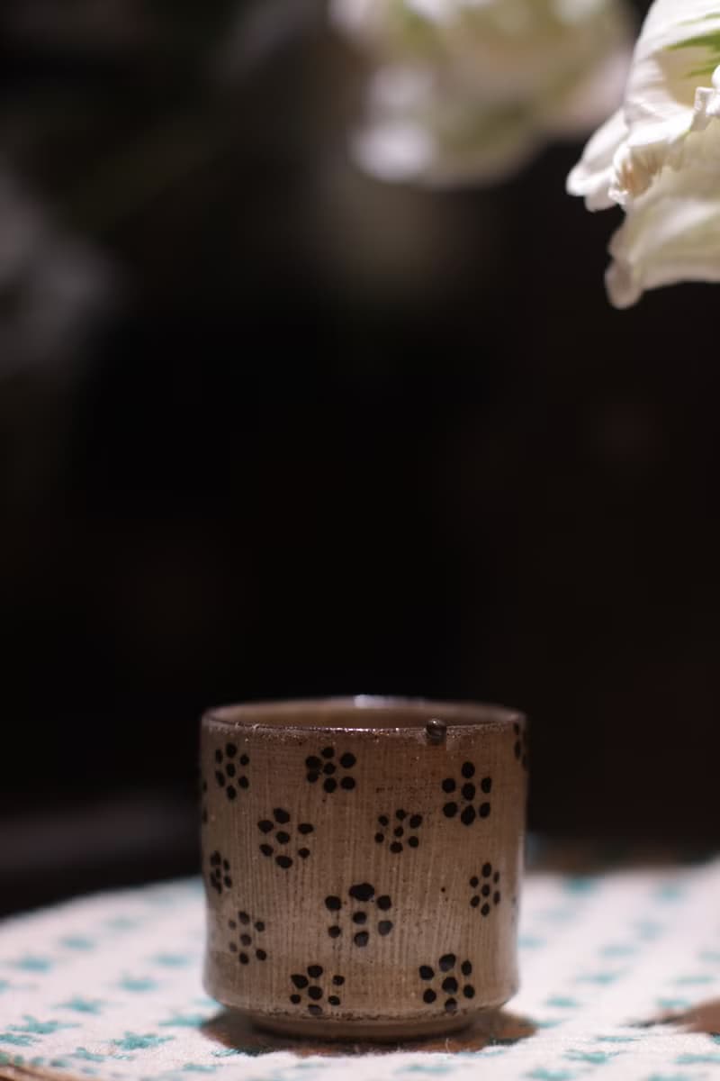 波紋杯