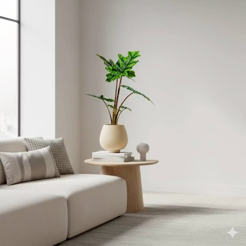 傑克林觀音蓮 線條圓陶盆淺黃色 窄口 桌上型盆栽 開幕送禮 喬遷