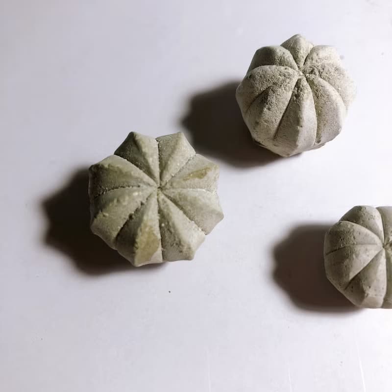 【野草不野】兜-水泥 / 水泥擺飾、水泥花插
