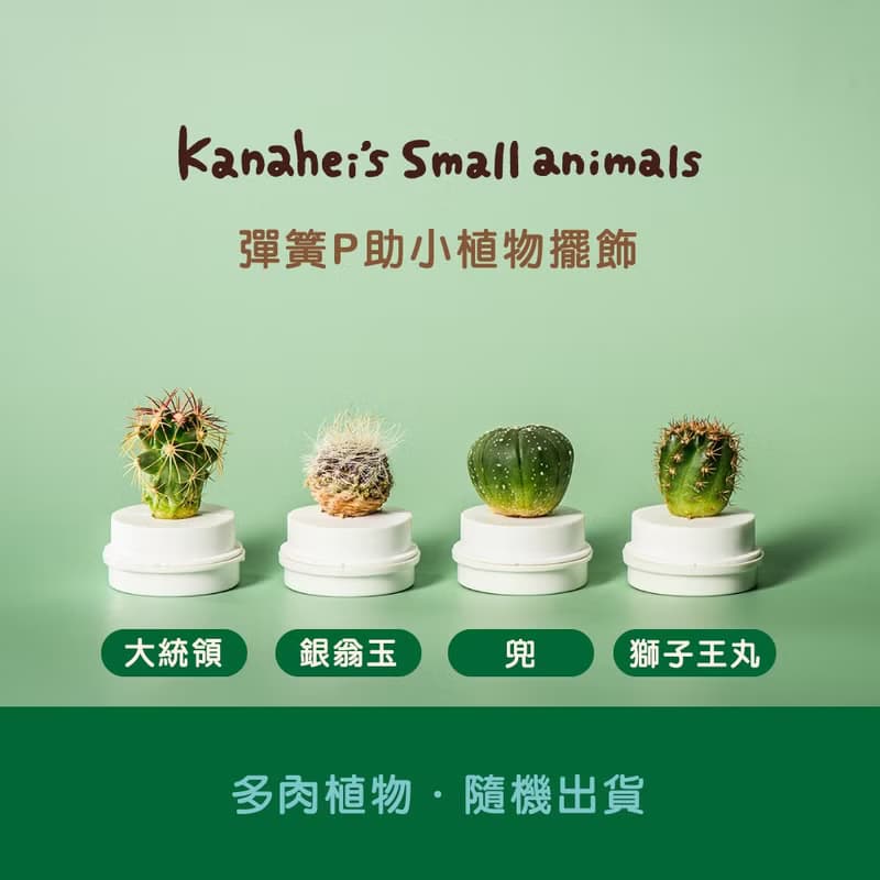 【交換禮物】卡娜赫拉的小動物彈簧P助小植物擺飾/療癒可夾名片