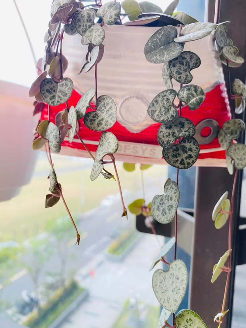 手作雜貨 DIY鐵罐手工創作 蝶谷巴特創意鐵罐