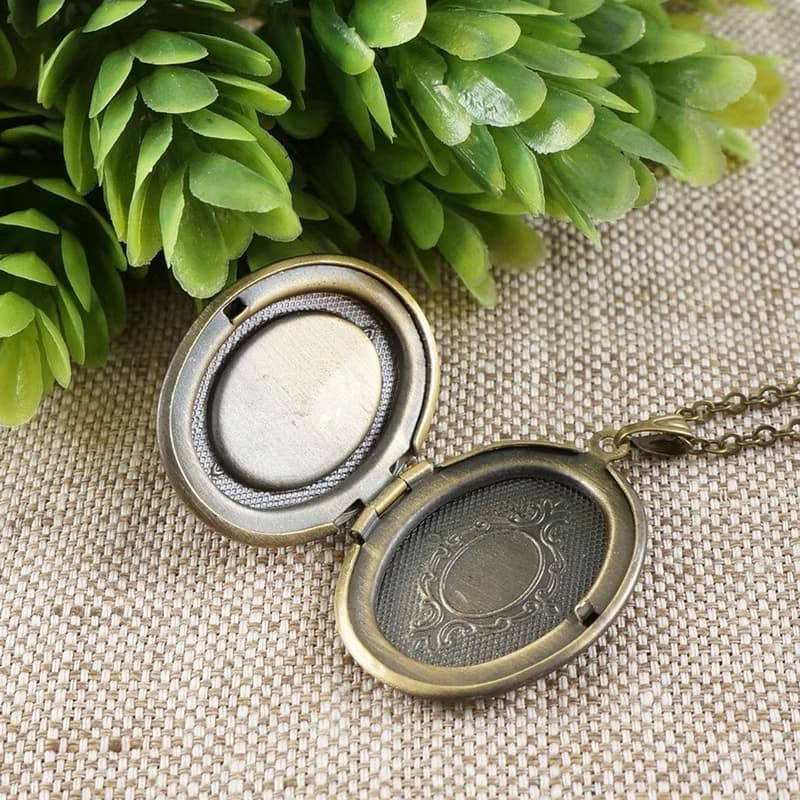 Pink Fuchsia Abalone Paua Shell Bronze Photo Locket Pendant Necklace Jewelry