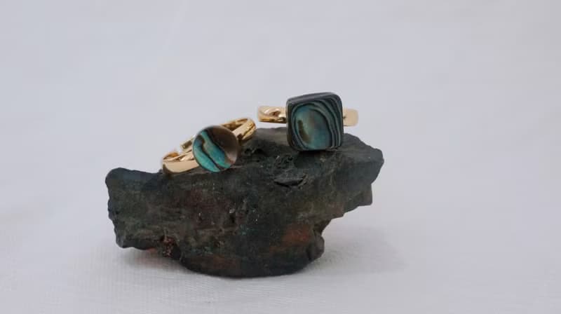 鮑魚貝戒指 x 鮑魚貝耳環